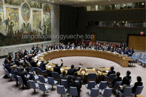 印度联合国提议制裁巴基斯坦遭中国否决案研究