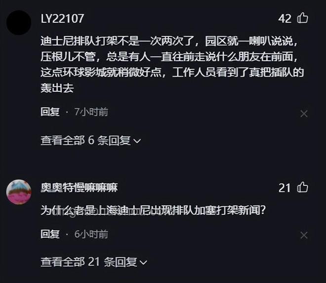 上海迪士尼游客打架事件解析及警方通报流程